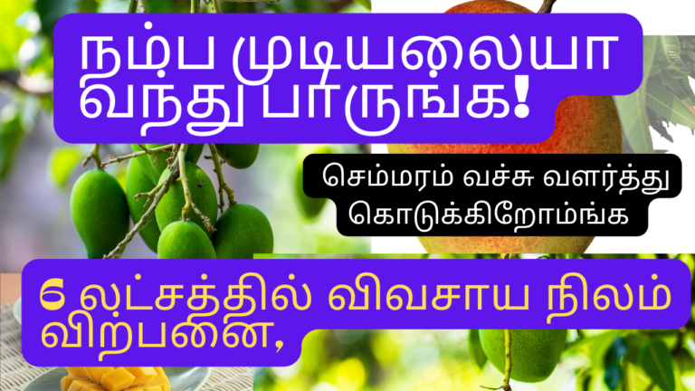 6 லட்சத்தில் விவசாய நிலம் விற்பனை6 Lakh Farm Land for sale in Tirunelveli 2022 Offer 2 768x432