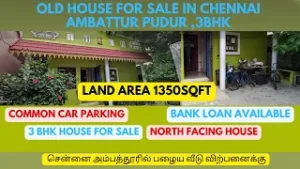 mqdefault 13 300x169