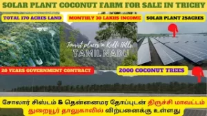 mqdefault 37 300x169