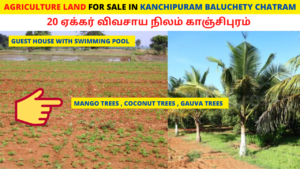 Agriculture land for sale in Kanchipuram Baluchetty Chatram