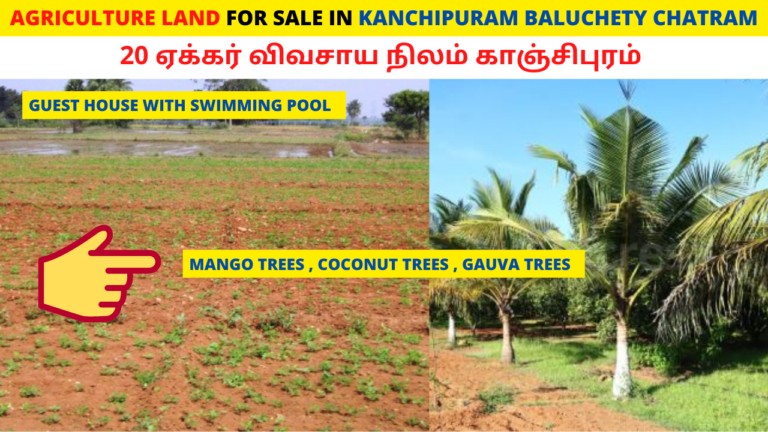Agriculture land for sale in Kanchipuram Baluchetty Chatram Agriculture land for sale in Kanchipuram Baluchetty Chatram