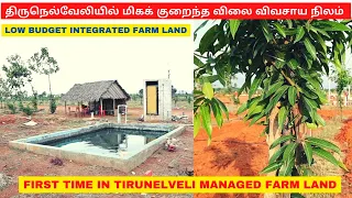 Low budget agriculture land for sale in Tirunelveli