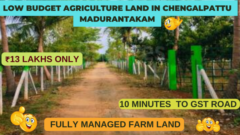 Low budget Agriculture land in Chengalpattu Madurantakam 13 Lakhs 10 Minutes GST Fully Managed Farm